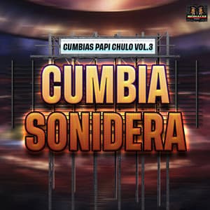 Cumbias Papi Chulo Vol. 3 - Cumbia Sonidera