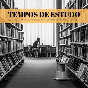 Tempos De Estudo: Estude Com Os Sons Relaxantes Das Correntes De Água - Música de Relaxamento No Spa