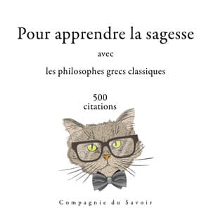 500 citations pour apprendre la sagesse avec les philosophes grecs classiques - Platon