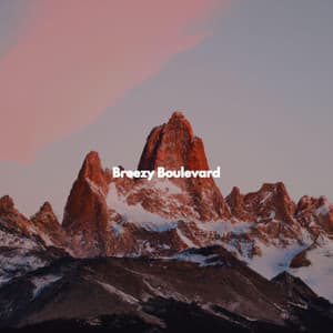 Breezy Boulevard - Instrumental Jazz Trio New York