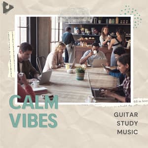 Guitar Study Music - Calm Vibes
