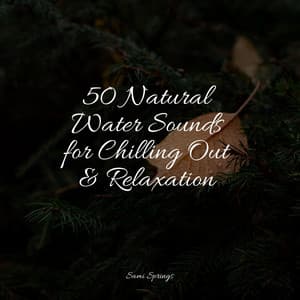 50 Natural Water Sounds for Chilling Out & Relaxation - Best Kids Songs