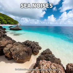 #1 Sea Noises for Relaxation, Napping, Wellness, Traffic Noise - Beach Sounds