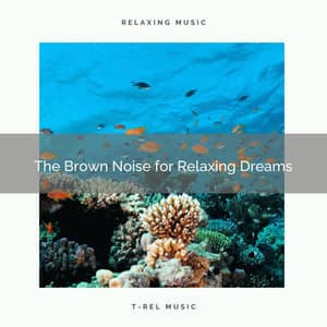 The Brown Noise for Relaxing Dreams - Calming Noises