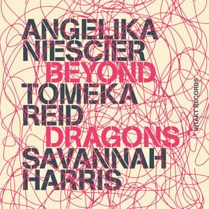 Beyond Dragons - Angelika Niescier