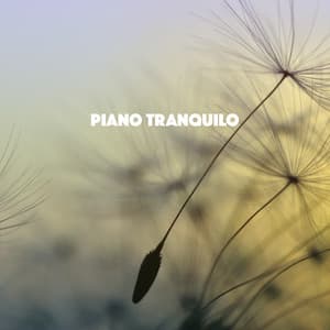 Piano Tranquilo - Musica Relajante