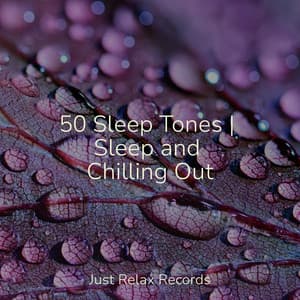50 Sleep Tones | Sleep and Chilling Out - Chillout Lounge