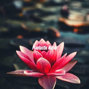 Plantastic Music - Sunday Morning Jazz