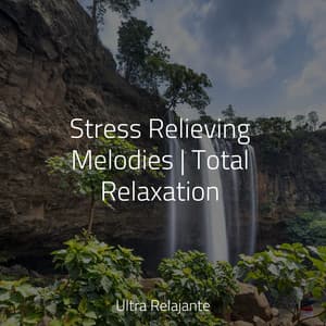 Stress Relieving Melodies | Total Relaxation - Study Zone