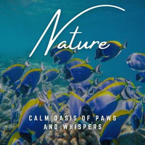 Cat's Secret Haven: Calm Whispers - Cat Music Zone