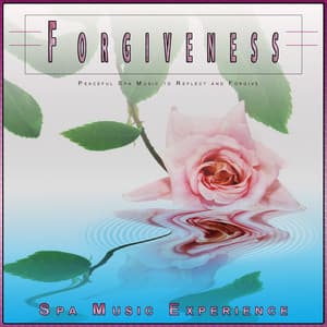 Forgiveness: Peaceful Spa Music to Reflect and Forgive - Spa Music Experience