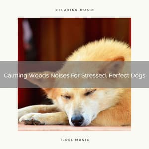 Calming Woods Noises For Stressed, Perfect Dogs - Pets Total Relax