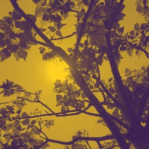 Music for Cool Trips - Jazz for Hotel Lobbies