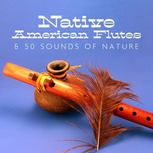 Native American Flutes & 50 Sounds of Nature - Forest Winstone