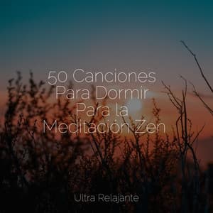 50 Canciones Para Dormir Para la Meditación Zen - Meditación Interna