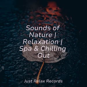Sounds of Nature | Relaxation | Spa & Chilling Out - Lullaby Land