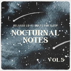 Nocturnal Notes - Relaxed Lo-fi Beats for Sleep Vol.5 - Laid Back Academy