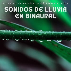 Visualización Soñadora Con Sonidos De Lluvia En Binaural - Gotas de lluvia para dormir