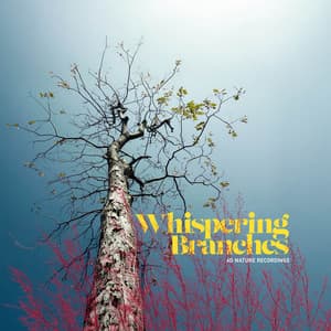 Whispering Branches - 4D Nature Recordings