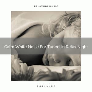Calm White Noise For Tuned-in Relax Night - White Noise Sleep Therapy