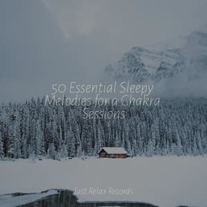 50 Essential Sleepy Melodies for a Chakra Sessions - Naturaleza Sonidos