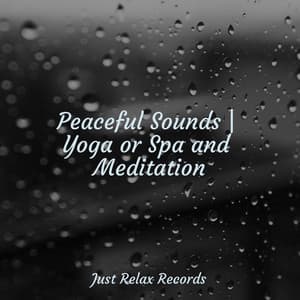 Peaceful Sounds | Yoga or Spa and Meditation - Mantra para Meditar