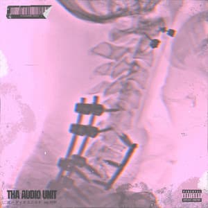 Through The Wire - Tha Audio Unit