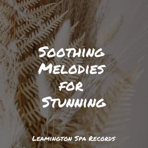 Soothing Melodies for Stunning - Lightning