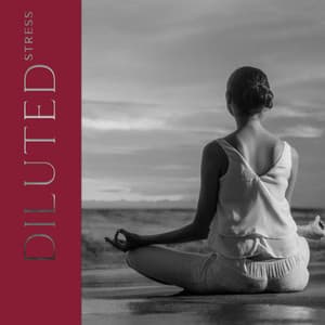 Diluted Stress: Profound Relaxation in SPA - Relaxing Spa Music