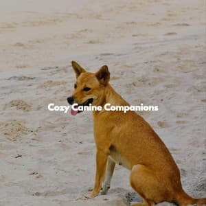 Cozy Canine Companions - Relaxing Music Orchestra