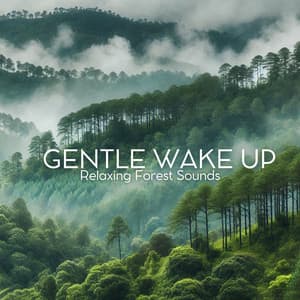 Gentle Wake Up: Relaxing Forest Sounds - Relaxation Music Guru