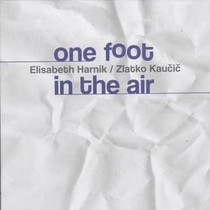 One Foot in the Air - Elisabeth Harnik