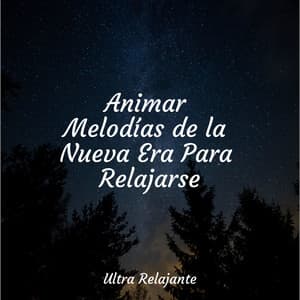 Animar Melodías de la Nueva Era Para Relajarse - Meditação Maestro
