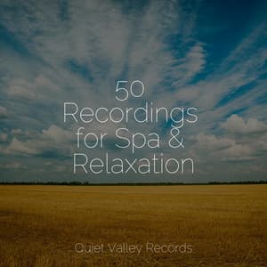 50 Recordings for Spa & Relaxation - Lightning