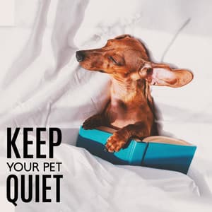 Keep Your Pet Quiet - Pet Relax Academy