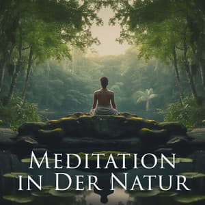 Meditation in Der Natur: Bewegen Sie Sich in Mutter Naturs Land Der Ruhe, Der Inneren Gelassenheit - Naturgeräusche Meditationsmusik