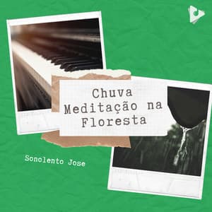 Chuva Meditação na Floresta - Sonolento Jose