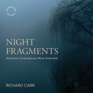 Night Fragments - Richard Carr