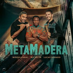 MetaMadera - Minino Garay
