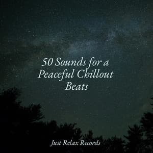 50 Sounds for a Peaceful Chillout Beats - Happy Baby Lullaby Collection