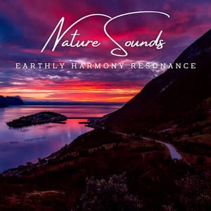 Harmony of the Elements: Meditative Nature Sounds - Bella Element
