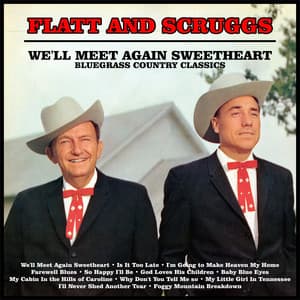 We'll Meet Again Sweetheart : Bluegrass Country Classics - Flatt & Scruggs