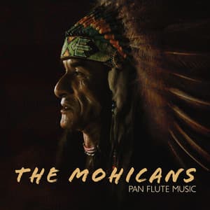 The Mohicans: Pan Flute Music, Meditation to Dream and Relax - Shaman Oyunaa
