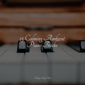 25 Calming Ambient Piano Tracks - Romantic Piano