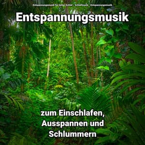 ! ! ! ! ! Entspannungsmusik zum Einschlafen, Ausspannen und Schlummern - Entspannungsmusik für tiefen Schlaf