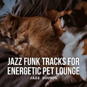 Jazz Sounds: Jazz Funk Tracks for Energetic Pet Lounge - Soft Jazz Mood