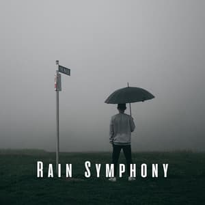 Rain Symphony: Harmonic Rainfall ASMR - Let It Rain