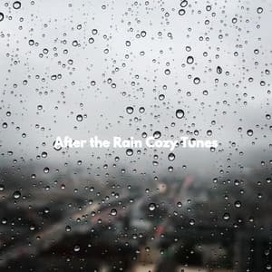 After the Rain Cozy Tunes - Retail Music