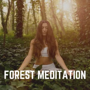 Forest Meditation - Life Sounds Nature