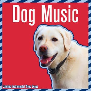 Dog Music - Calming Instrumental Sleep Songs - Relaxmydog